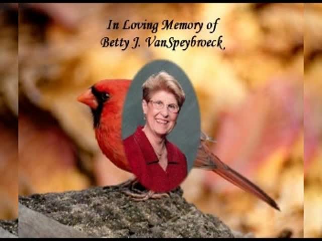 Obituary information for Betty J. VanSpeybroeck